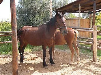 Fassi Apartamento *